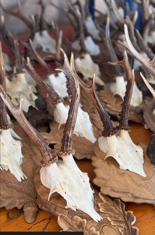 Tour 6: SUNDAY OCTOBER 12th, 10:30am -1:30pm | Round Top Antique Show, Golf Cart Tour | Shopping the Fields
